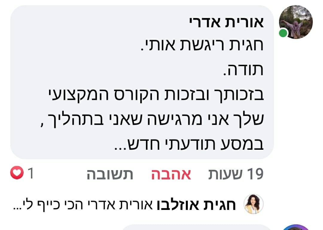 המלצה
