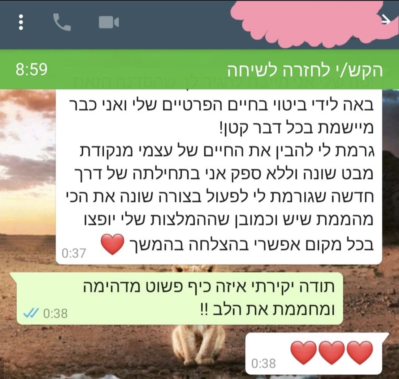המלצה